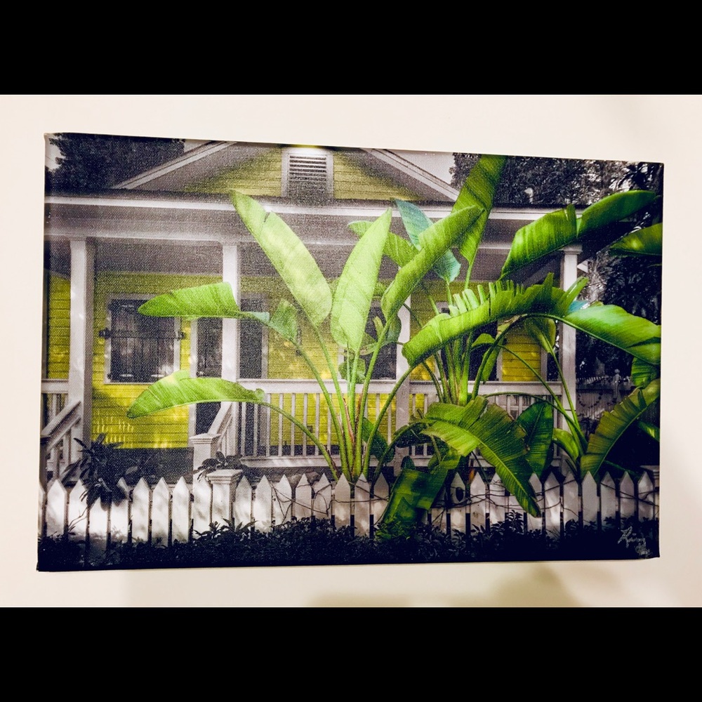 🖤 Mike Ring signed print “Caribbean Cottage”